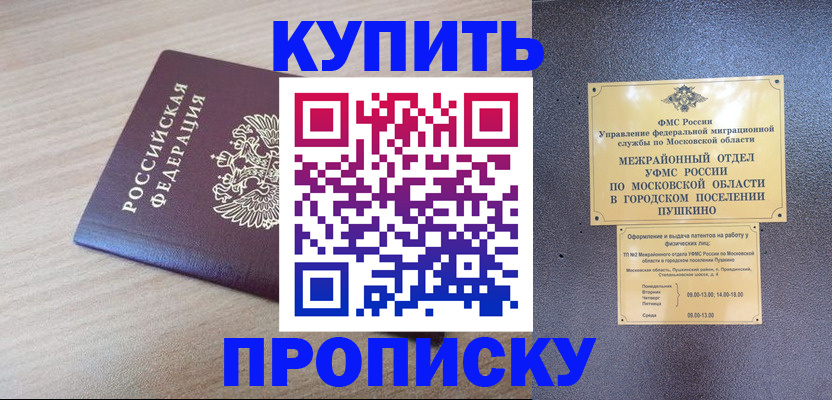 временная регистрация для всех в Палласовке